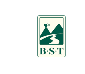 BST百川汇标志设计